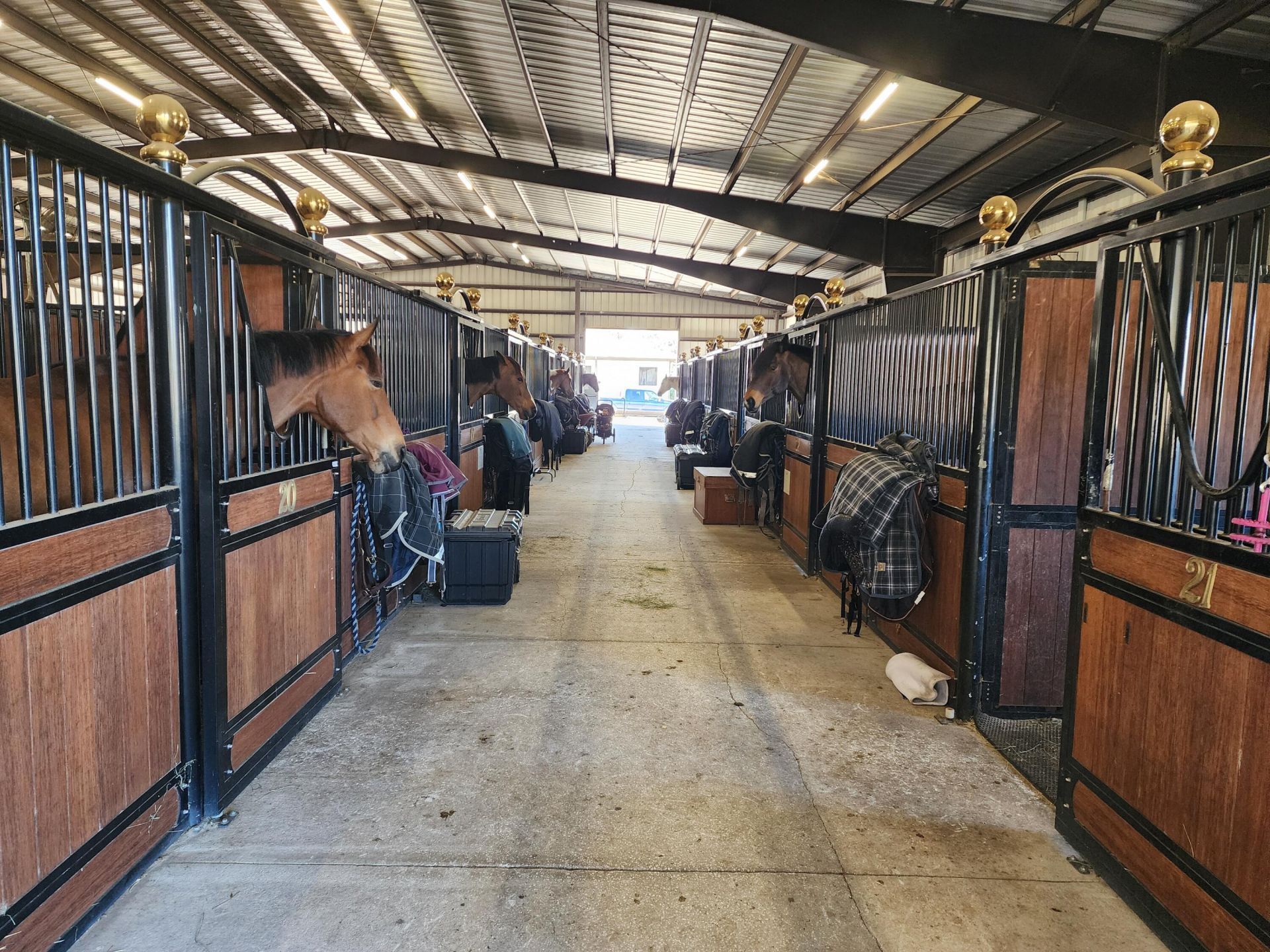 6025 NW 115th Avenue, Ocala, FL 34482 Photo