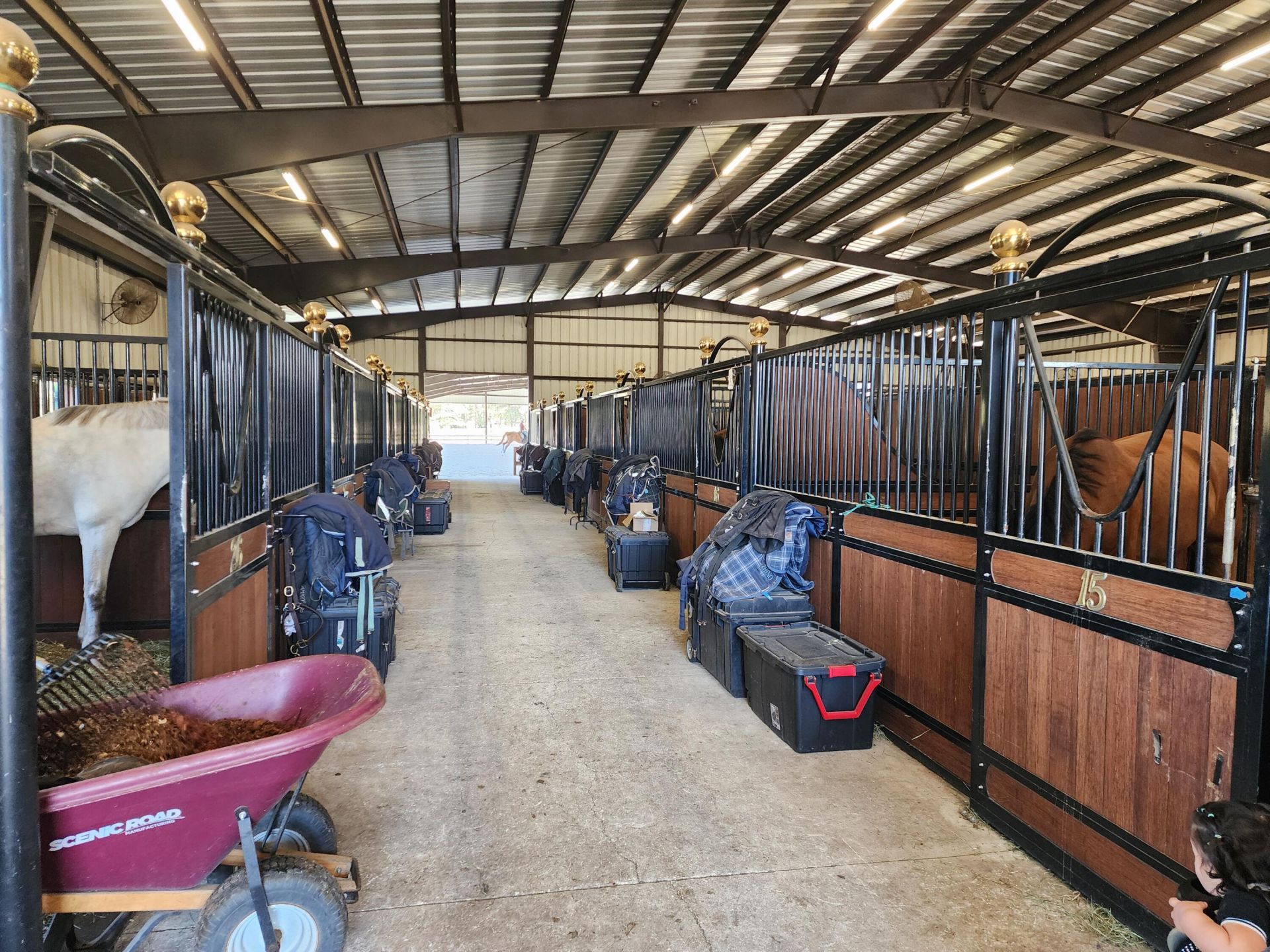 6025 NW 115th Avenue, Ocala, FL 34482 Photo