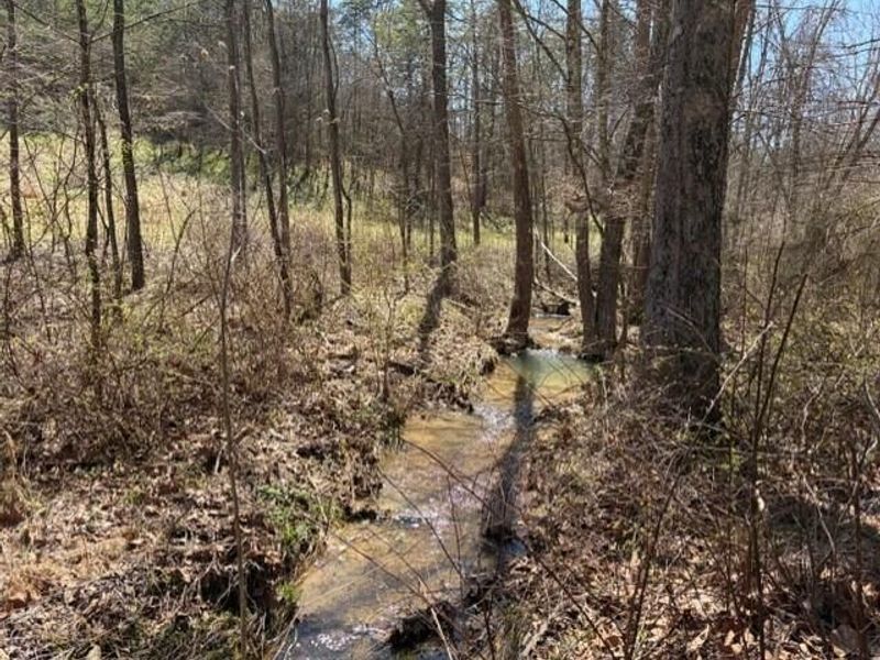 22497 State Route 93 S, Logan, OH 43138 Photo 7