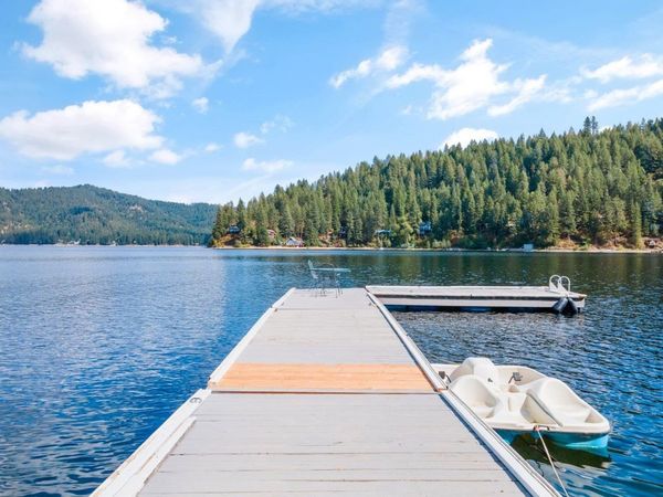 3923 E Pine Bay Rd, Loon Lake, WA 99148