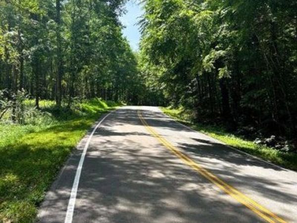 Tract 10 Pleasant Hill Rd, Ten Mile, TN 37880