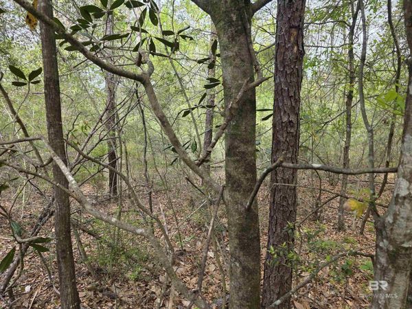 12287 Red Hill Rd Extension, Bay Minette, AL 36507