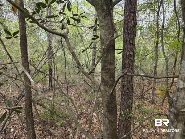 12287 Red Hill Rd Extension, Bay Minette, AL 36507