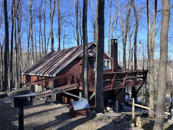 725 Red Mill Road, Smethport, PA 16749