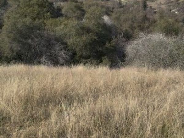 0 Chuckwagon Road, Squaw Valley, CA 93675