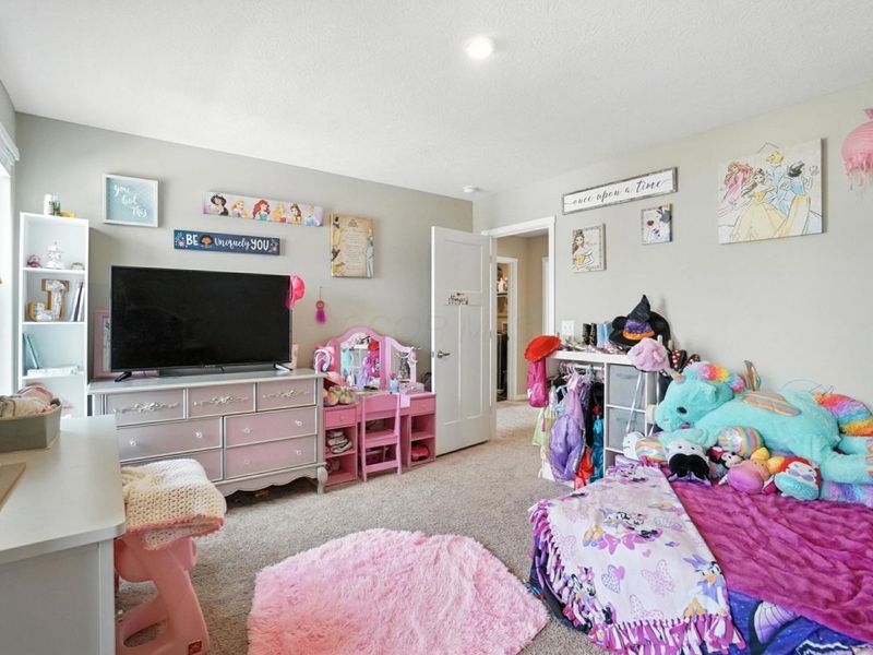 502 Conley Drive , Commercial Point, OH 43116 Photo 28