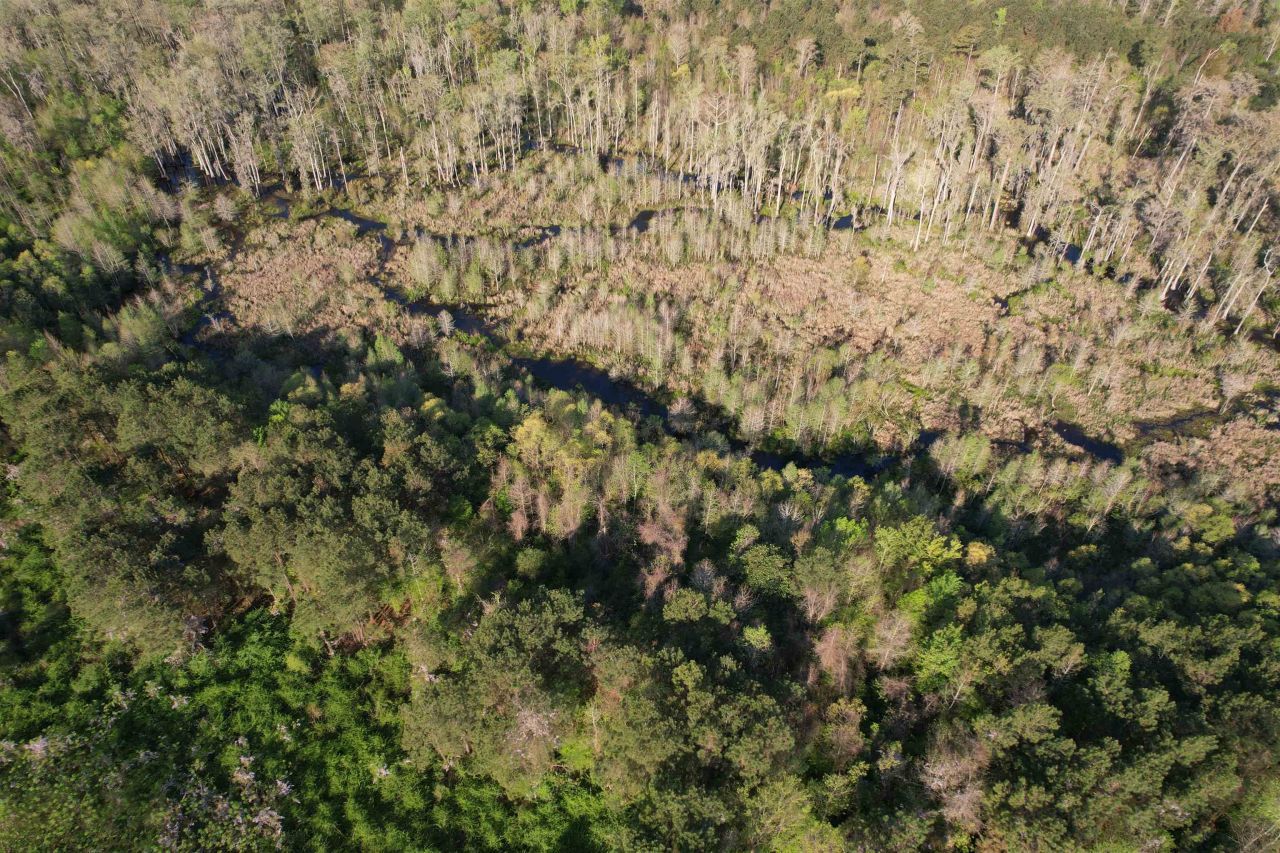 9.06 Acres-1829 S Pamplico Hwy. Photo 12