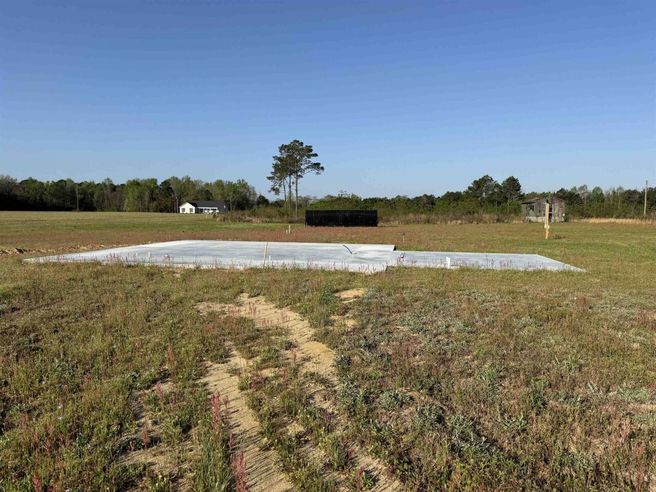 9.06 Acres-1829 S Pamplico Hwy. Photo 13