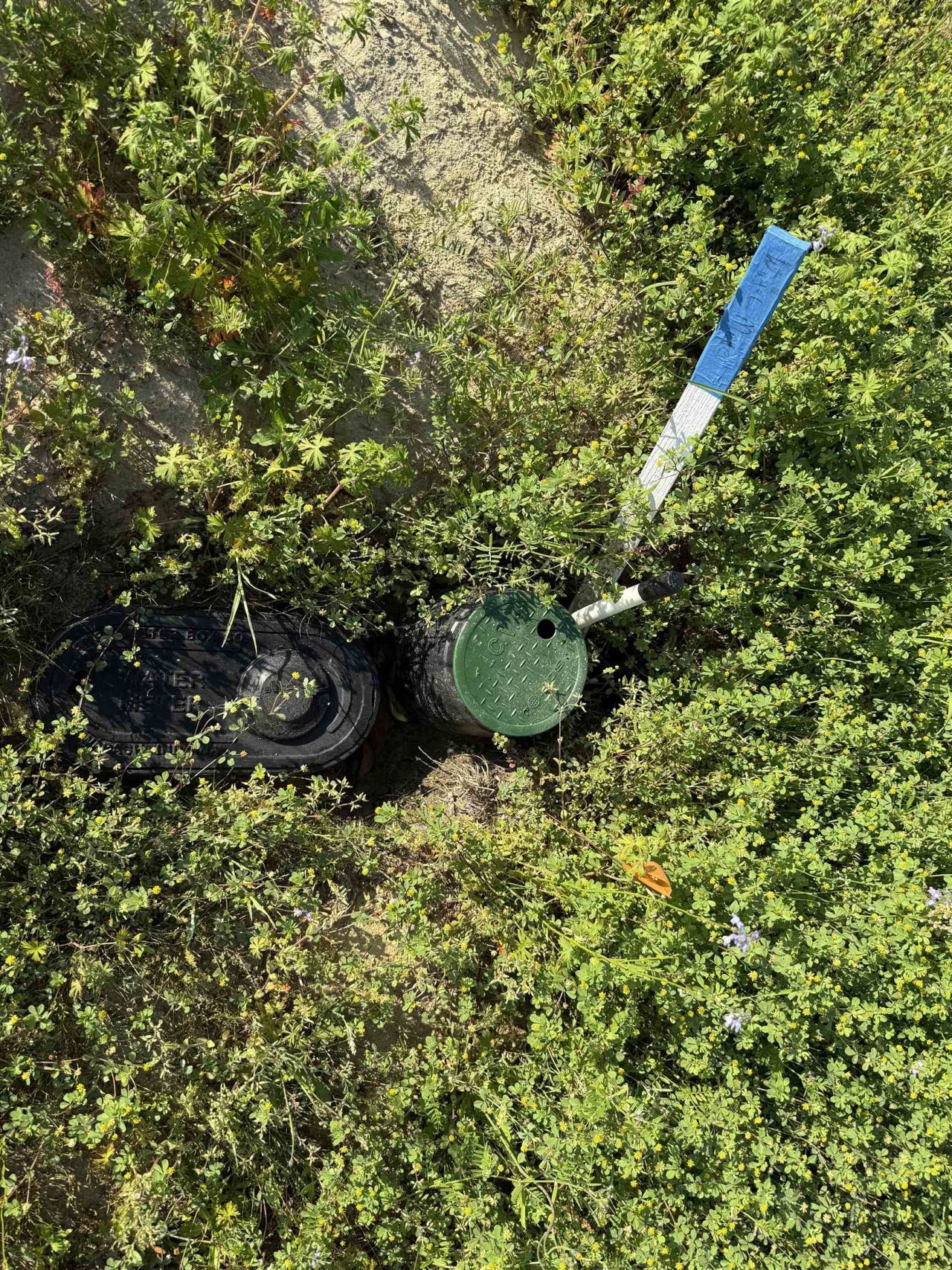 9.06 Acres-1829 S Pamplico Hwy. Photo 14