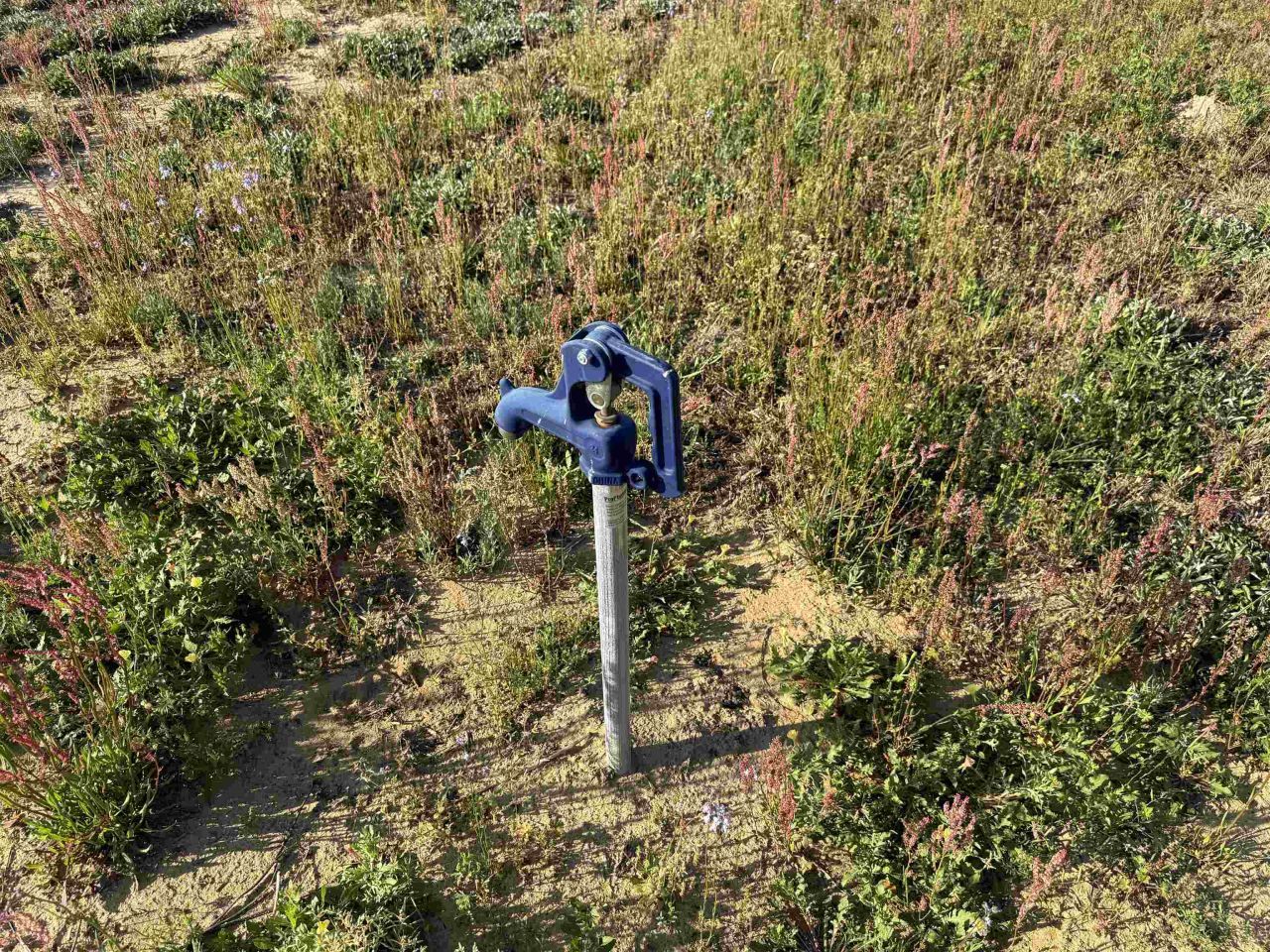 9.06 Acres-1829 S Pamplico Hwy. Photo 15