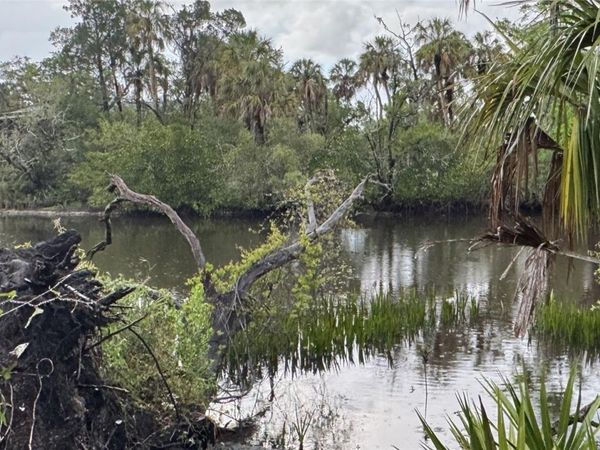 12817 UPPER MANATEE RIVER ROAD , BRADENTON, FL 34212