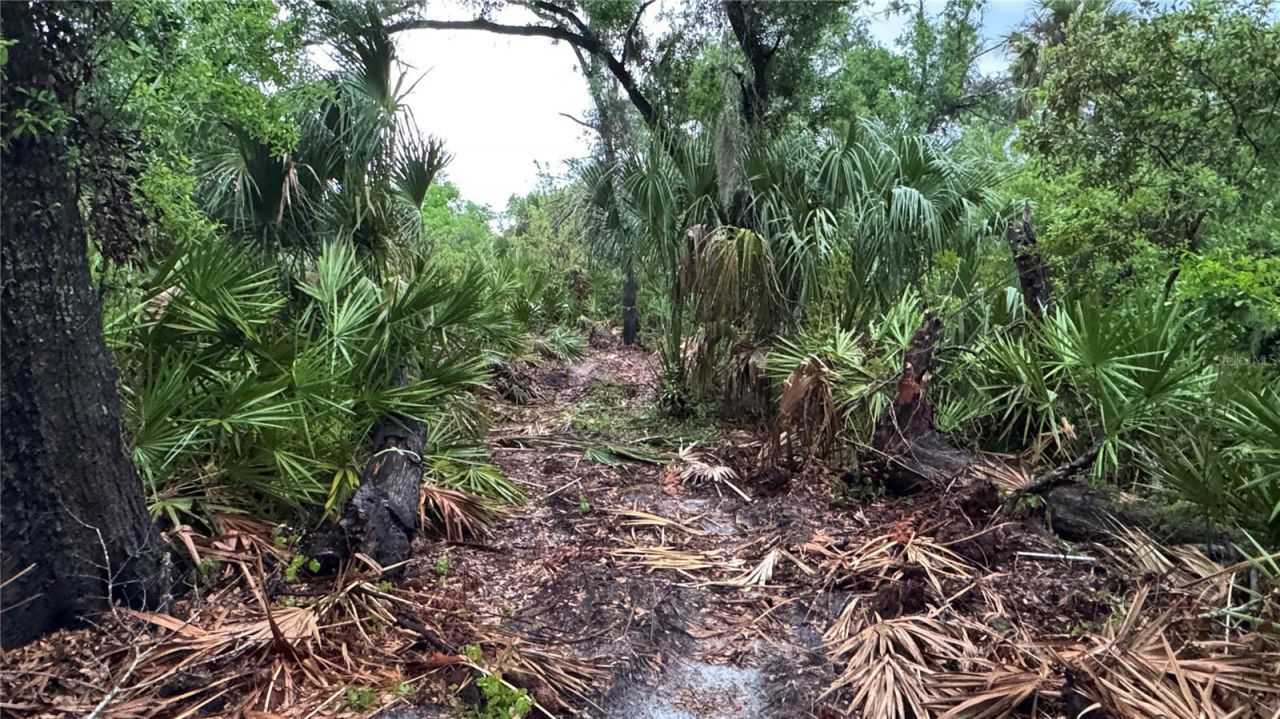 12817 Upper Manatee River Road , Bradenton, FL 34212 Photo