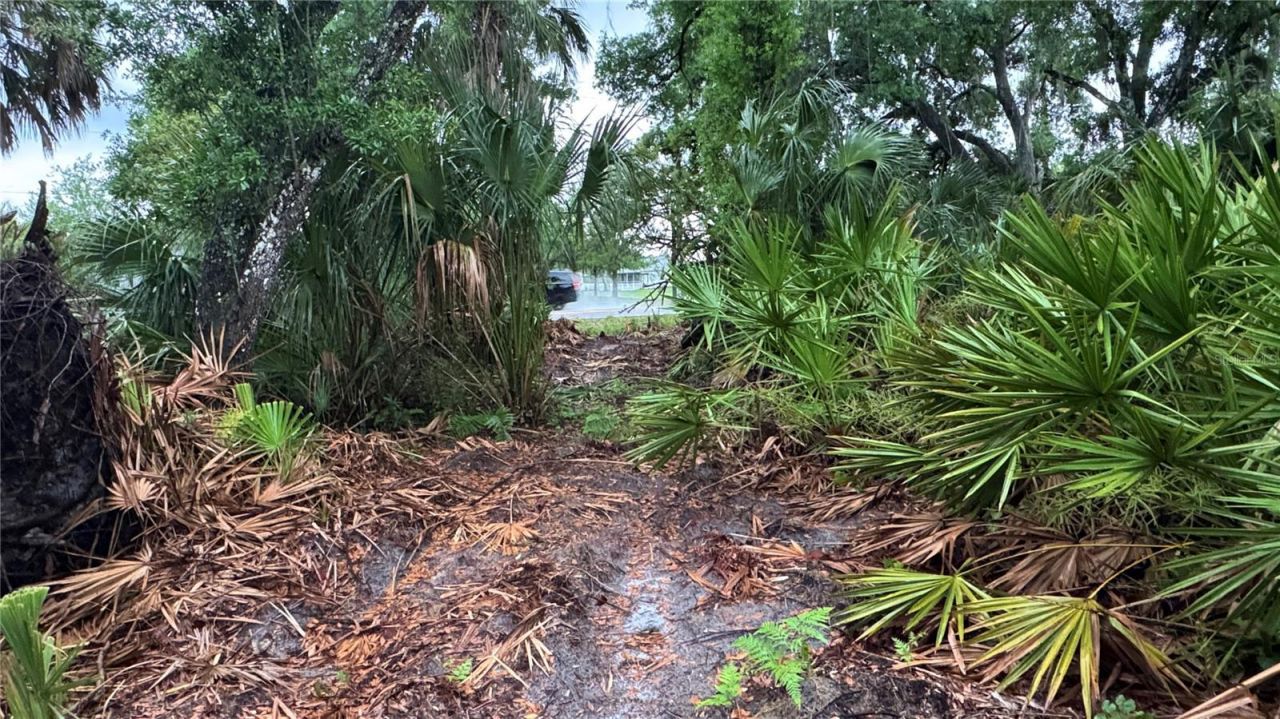 12817 Upper Manatee River Road , Bradenton, FL 34212 Photo