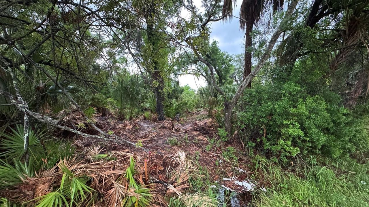 12817 Upper Manatee River Road, Bradenton, FL 34212 Photo
