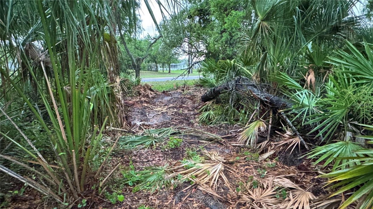 12817 Upper Manatee River Road, Bradenton, FL 34212 Photo