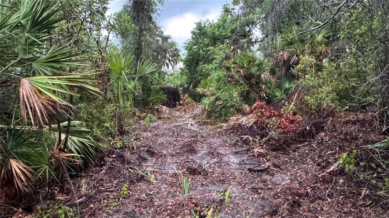 12817 Upper Manatee River Road, Bradenton, FL 34212 Photo