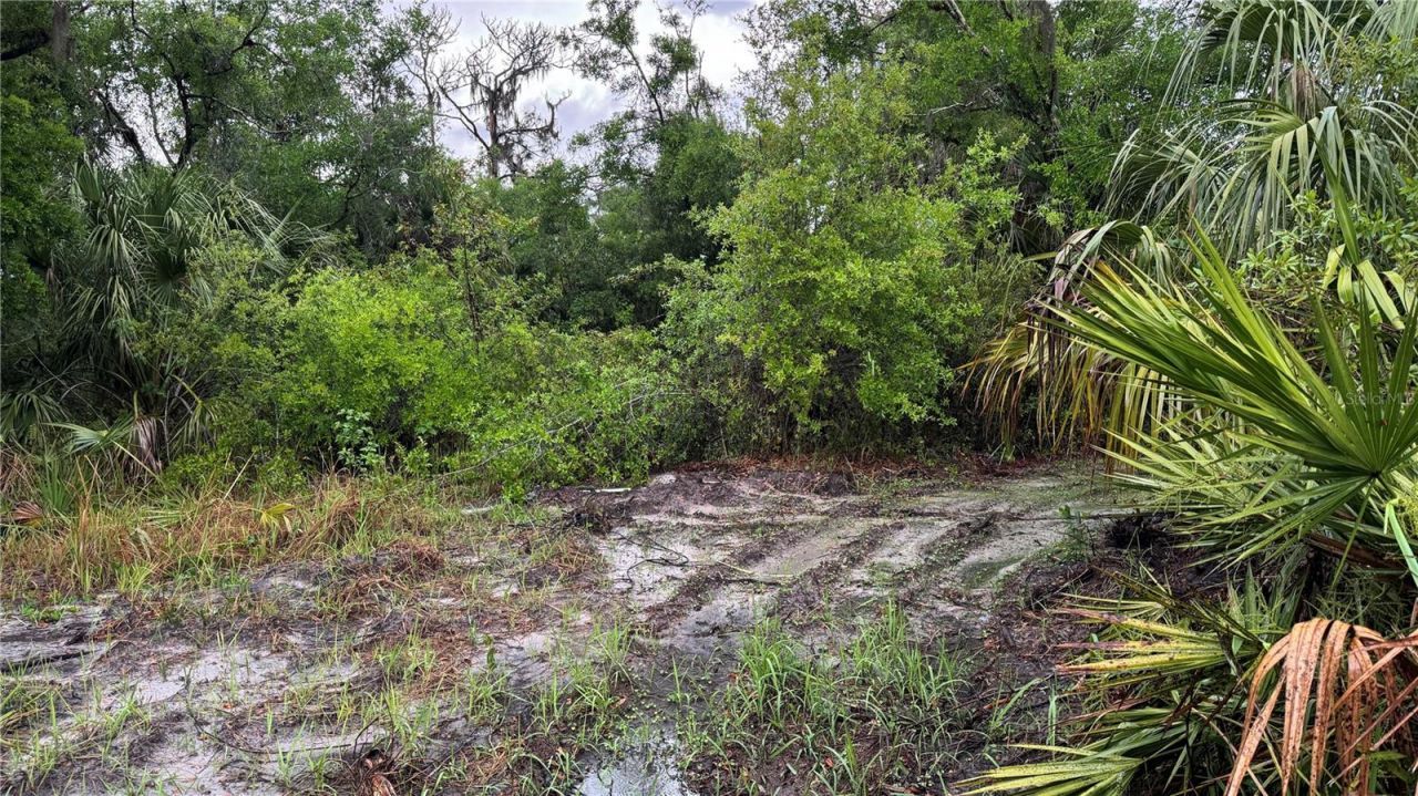 12817 Upper Manatee River Road, Bradenton, FL 34212 Photo