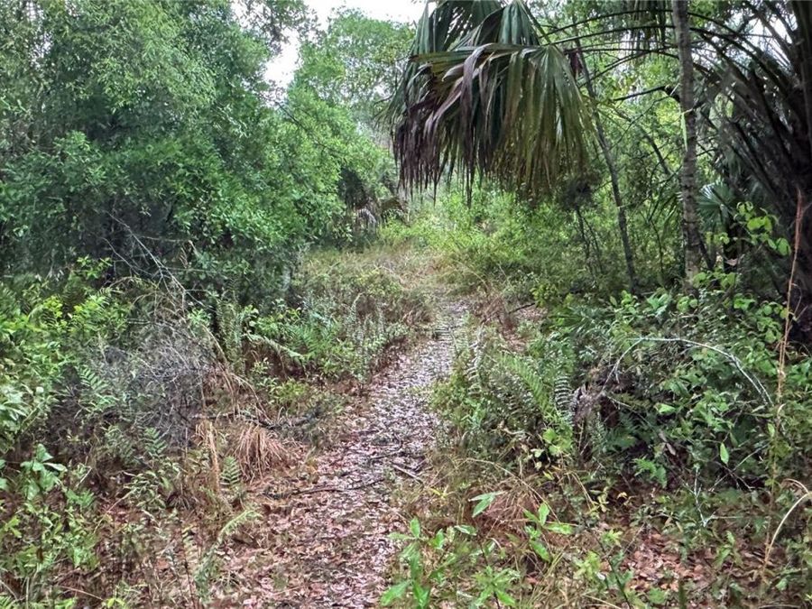 Property Image 18