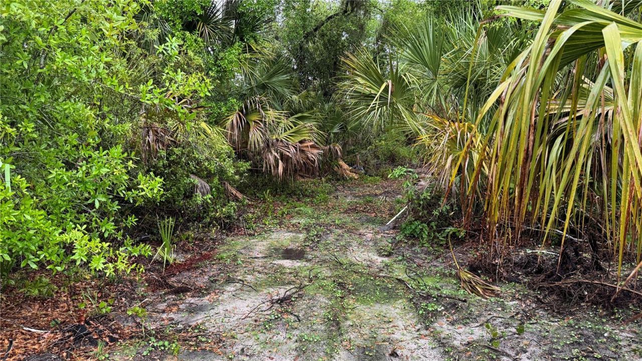 12817 Upper Manatee River Road, Bradenton, FL 34212 Photo