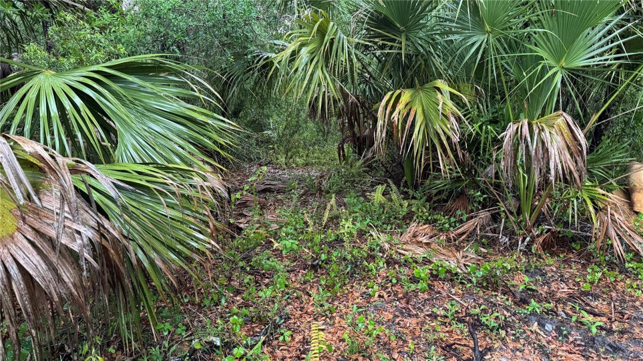 12817 Upper Manatee River Road, Bradenton, FL 34212 Photo