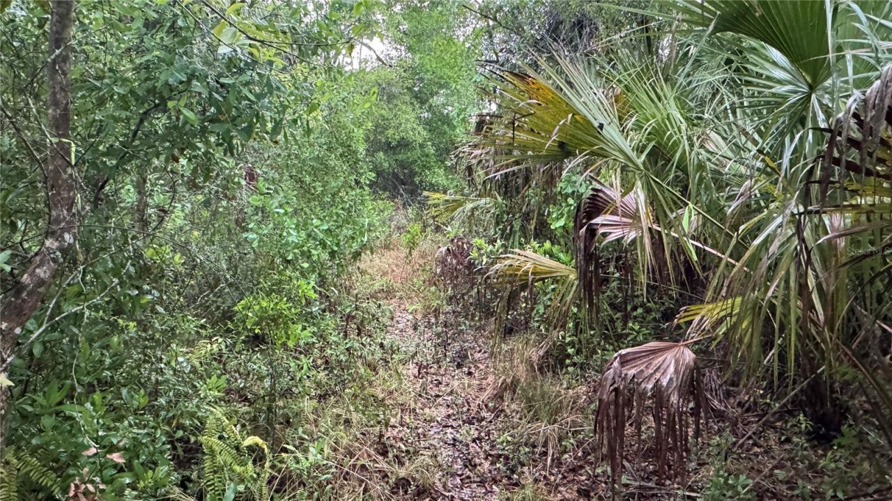 12817 Upper Manatee River Road, Bradenton, FL 34212 Photo