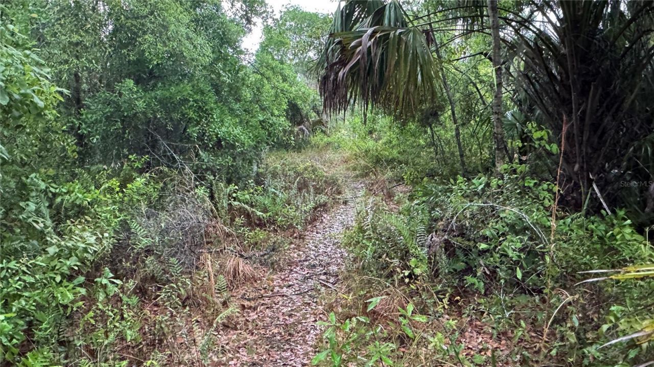 12817 Upper Manatee River Road, Bradenton, FL 34212 Photo