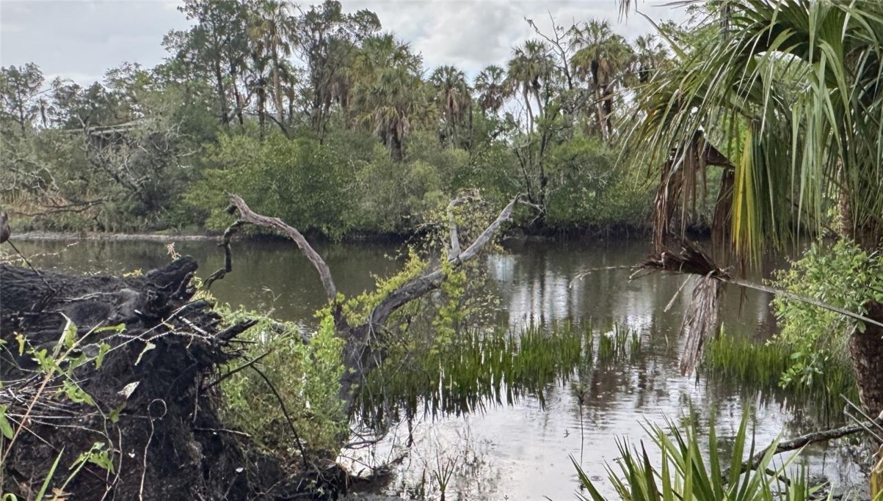 12817 Upper Manatee River Road, Bradenton, FL 34212 Photo