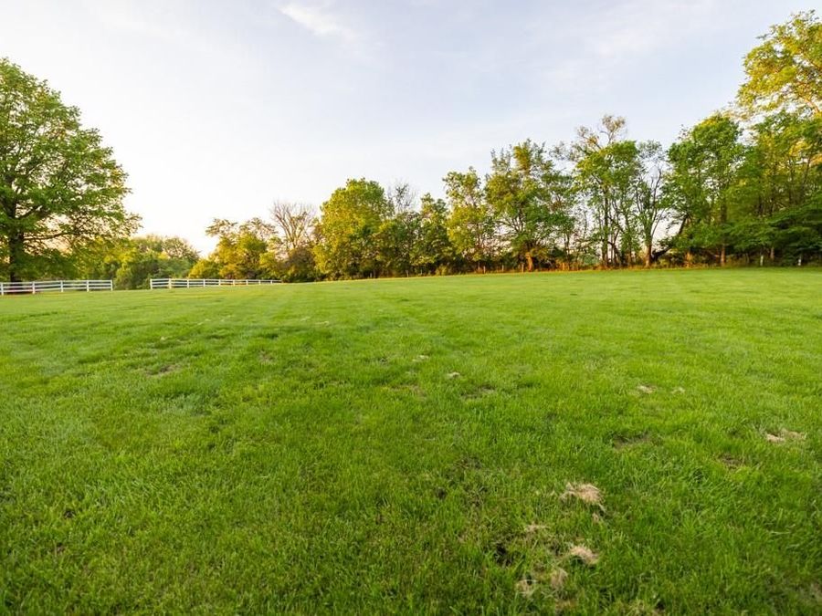 Property Image 86