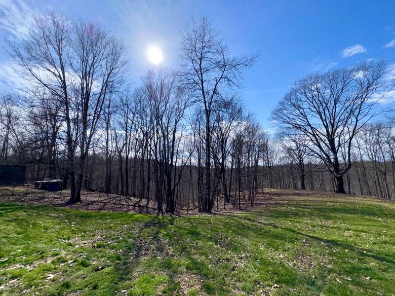 7305 Dietrick Hill Road, Philo, OH 43771 Photo 25