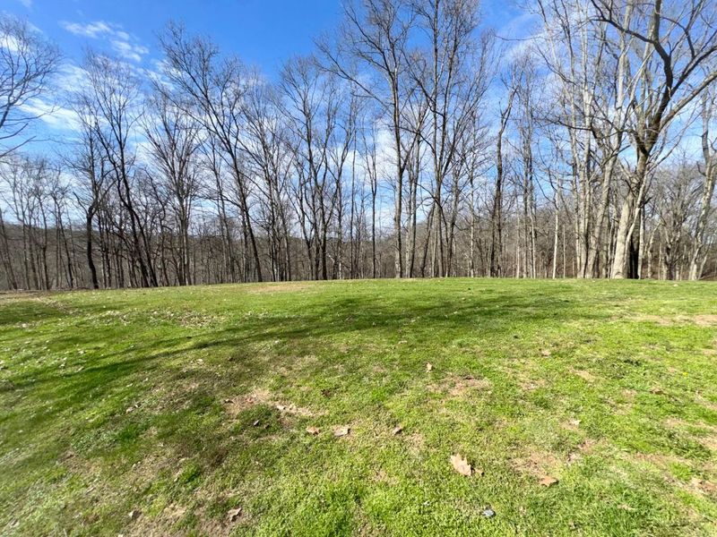 7305 Dietrick Hill Road, Philo, OH 43771 Photo 26