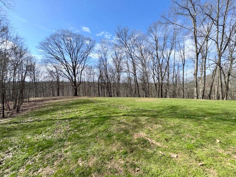 7305 Dietrick Hill Road, Philo, OH 43771 Photo 27