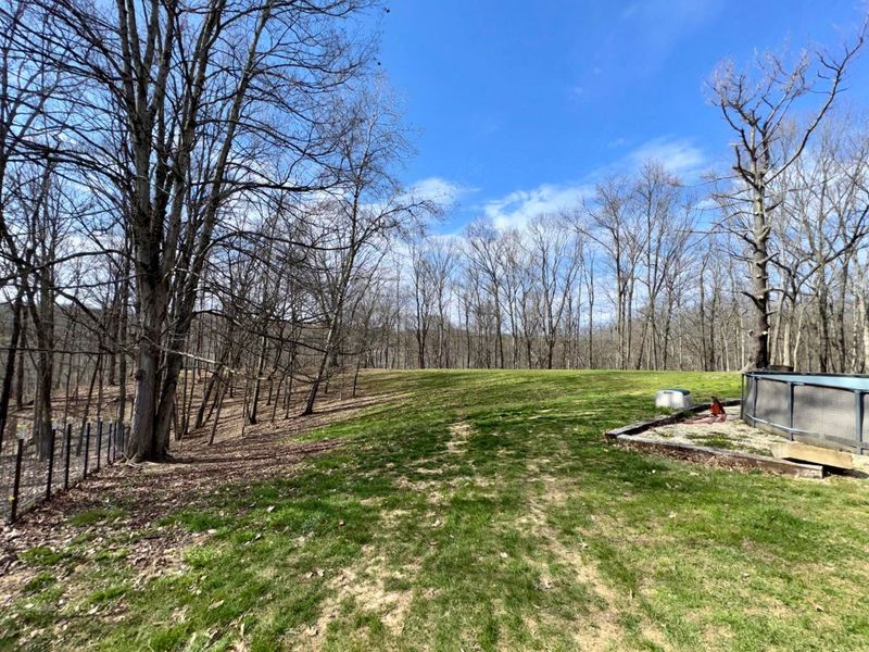 7305 Dietrick Hill Road, Philo, OH 43771 Photo 31