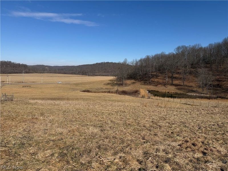31785 PIEDMONT-FREEPORT Road, Freeport, OH 43973 Photo 14