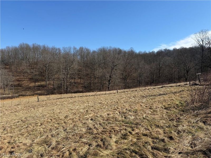 31785 PIEDMONT-FREEPORT Road, Freeport, OH 43973 Photo 16