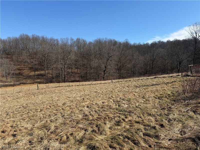 31785 PIEDMONT-FREEPORT Road, Freeport, OH 43973 Photo 16