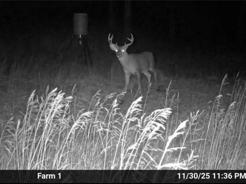 31785 PIEDMONT-FREEPORT Road, Freeport, OH 43973 Photo 47