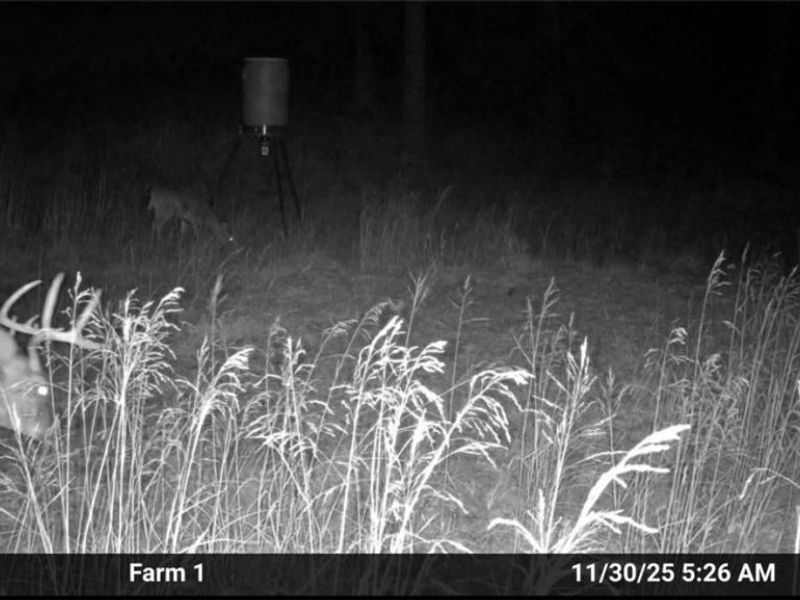 31785 PIEDMONT-FREEPORT Road, Freeport, OH 43973 Photo 48