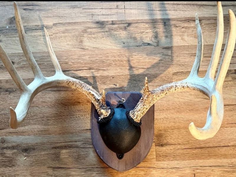 31785 PIEDMONT-FREEPORT Road, Freeport, OH 43973 Photo 49