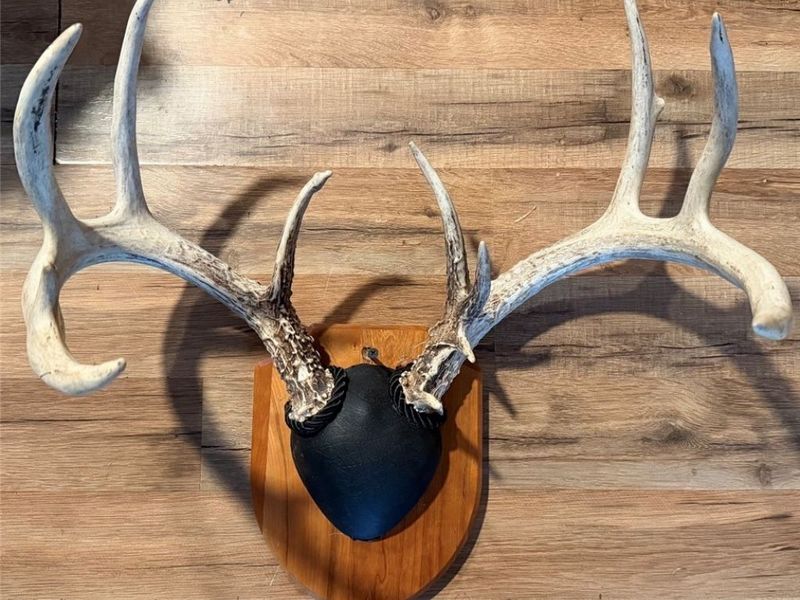 31785 PIEDMONT-FREEPORT Road, Freeport, OH 43973 Photo 50