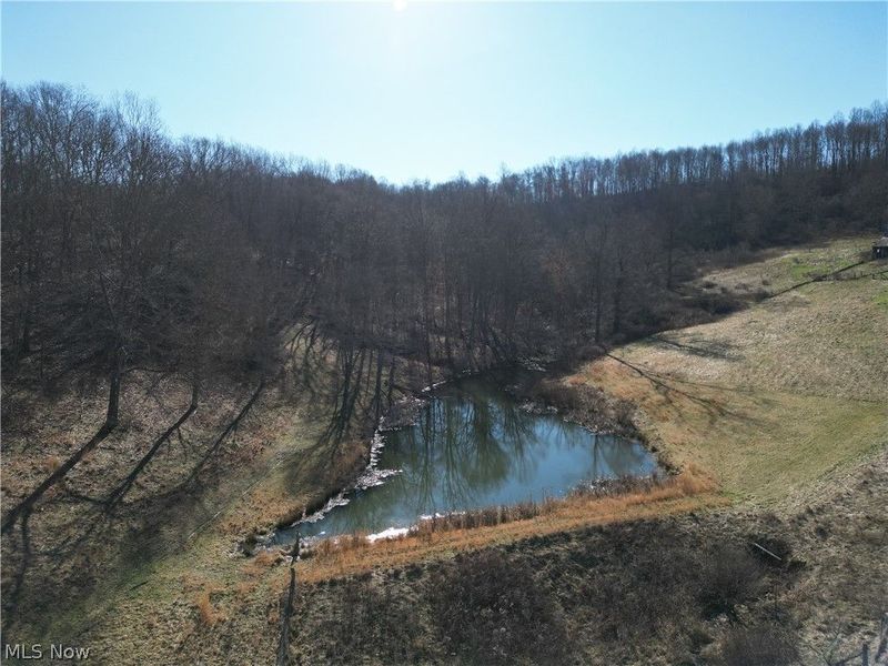 31785 PIEDMONT-FREEPORT Road, Freeport, OH 43973 Photo 8