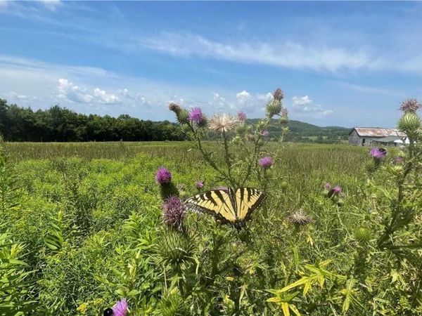 Beechwoods Road , Callicoon, NY 12723