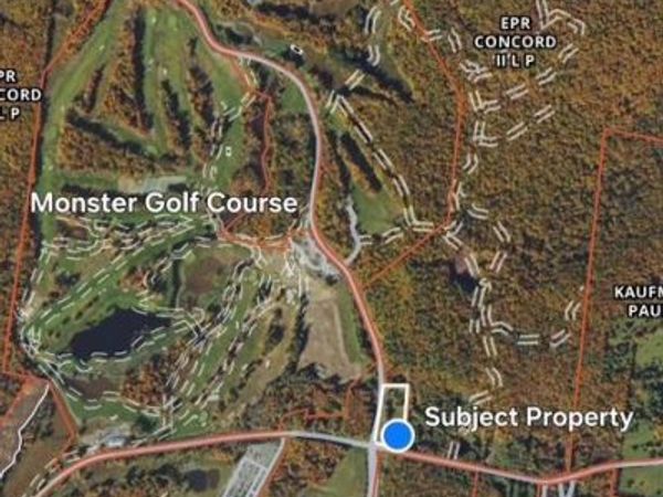 315 Thompson Road Road, Monticello, NY 12701