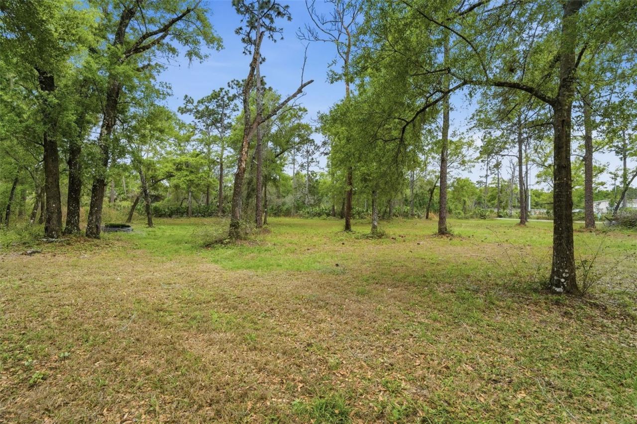 2110 E Kicklighter Road, Lake Helen, FL 32744 Photo