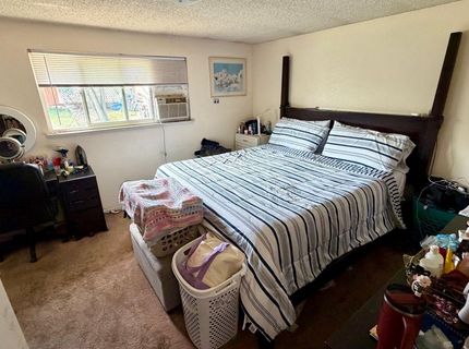 1020 Roberts Street, Reno, NV 89502 Photo