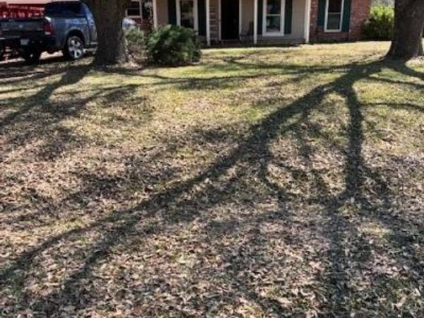 10127 Freedoms Way , Keithville, LA 71047