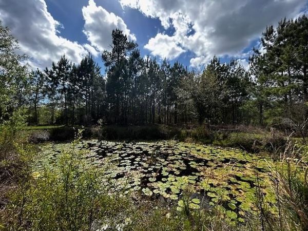 6914 S SR 71, Blountstown, FL 32424