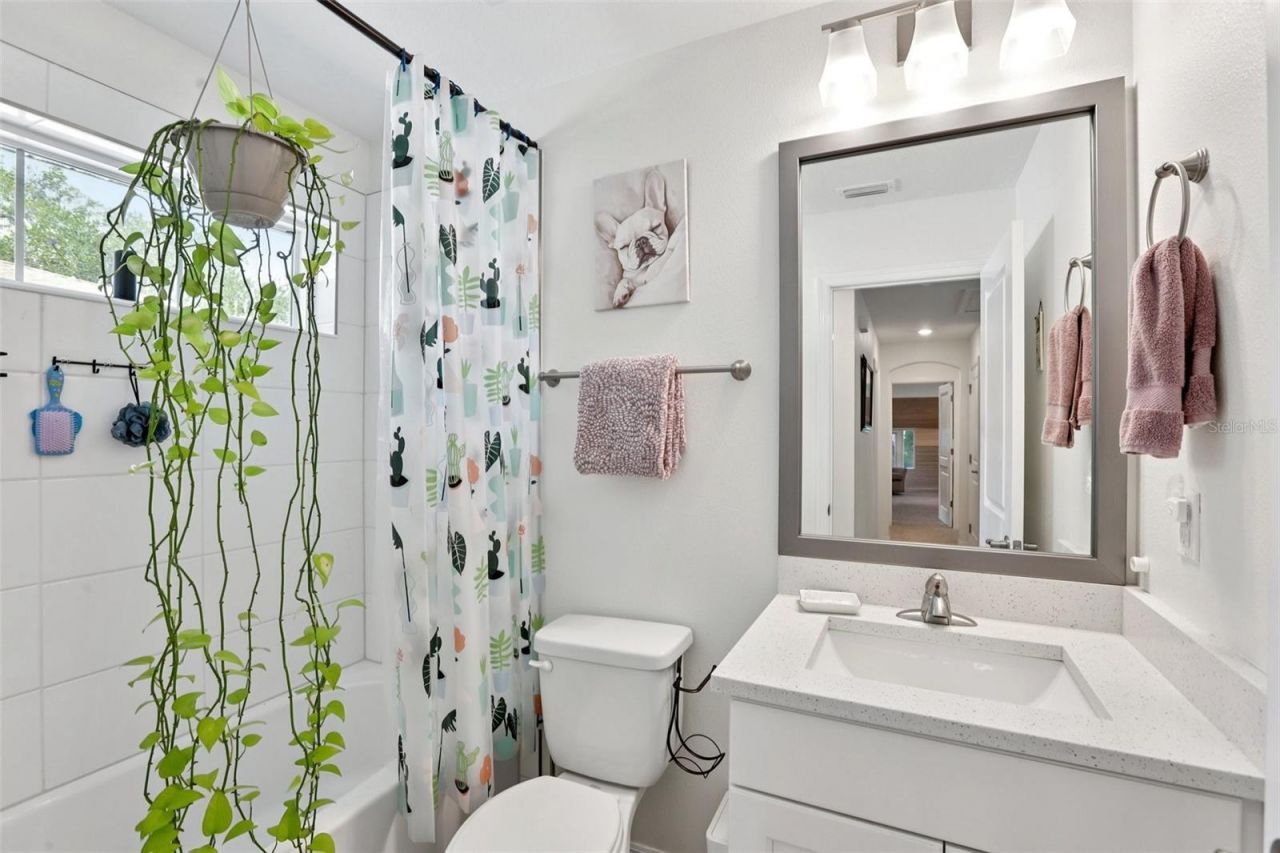 798 46th Avenue N, Saint Petersburg, FL 33703 Photo