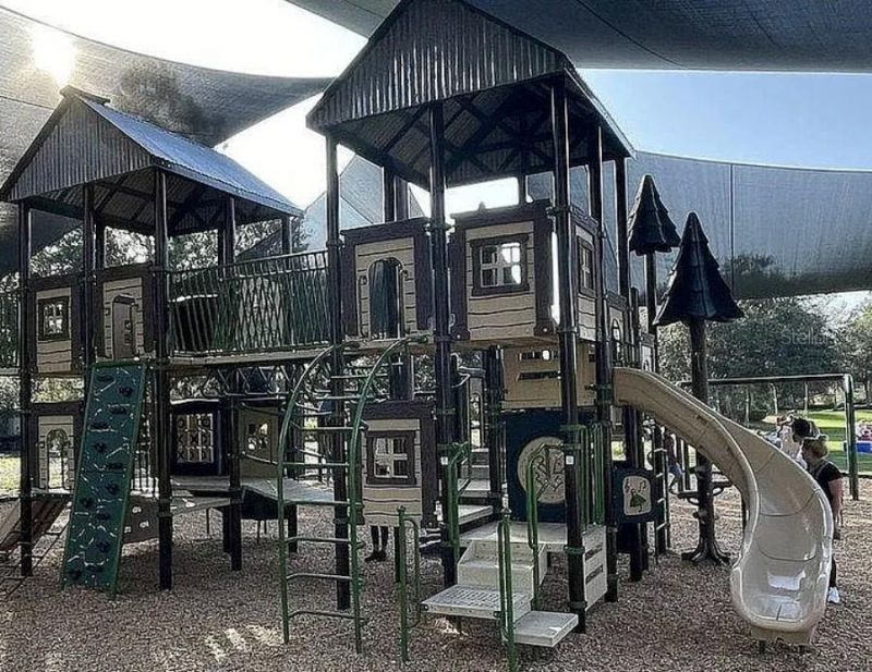 22034 Storybook Cabin Way , Land O Lakes, FL 34637 Photo