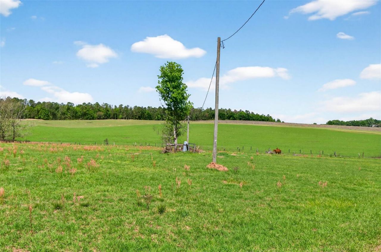 0 Hilltop Horizons Place, Dade City, FL 33523 Photo