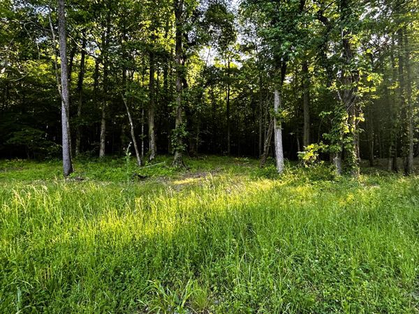 Tract 9 Pleasant Hill Road, Ten Mile, TN 37880